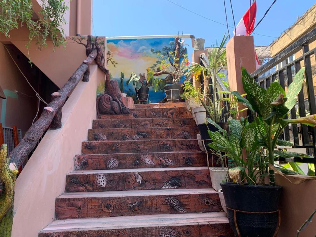 Salsabila Homestay Gili Trawangan Luaran gambar